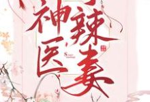 完结版《神医小辣妻》章节目录在线阅读-牛皮文学