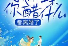 完结版《都离婚了，我相亲你醋什么》章节目录在线阅读-牛皮文学