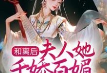 完结版《和离后，夫人她千娇百媚入主侯府》章节目录在线阅读-牛皮文学