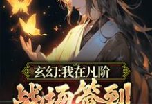 玄幻：我在凡阶战场签到，便可无敌小说，玄幻：我在凡阶战场签到，便可无敌章节在线阅读-牛皮文学