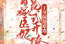 《替嫁医妃花式开撩，王爷插翅难逃》全集免费在线阅读（叶南栖萧宸泽）-牛皮文学