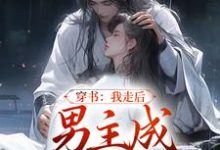 完结版《穿书：我走后，男主成黑莲花了》免费阅读-牛皮文学