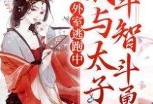 《外室逃跑中：我与太子斗智斗勇》全集免费在线阅读（云绾儿萧晏之）-牛皮文学