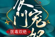 农门宠妃医毒双绝这本小说怎么样？免费在线阅读试试-牛皮文学