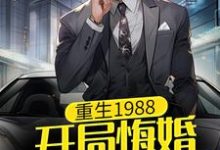 完结版《重生1988：开局悔婚，暴富当渣男》在线免费阅读-牛皮文学