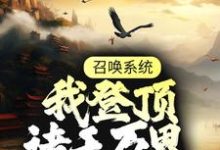 召唤系统：我登顶诸天万界小说，召唤系统：我登顶诸天万界免费阅读-牛皮文学