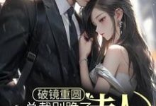 完结版《破镜重圆：总裁别跪了，夫人拒绝原谅》免费阅读-牛皮文学