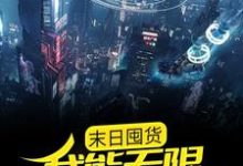 完结版《末日囤货：我能无限复制物资》章节阅读-牛皮文学