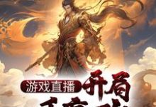 完结版《游戏直播：开局一手嬴政，震惊祖龙》章节目录在线阅读-牛皮文学