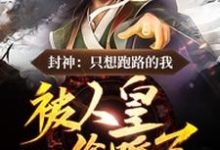 完结版《穿成纣王儿子后，我跑不掉了》章节阅读-牛皮文学