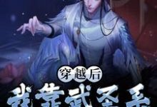 完结版《穿越后，我靠武圣系统一统江山》免费阅读-牛皮文学