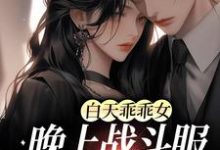 完结版《白天乖乖女，晚上战斗服第一杀手》章节目录在线阅读-牛皮文学