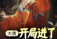 《大唐：开局进了长孙皇后寝宫》全集免费在线阅读（杨华）-牛皮文学