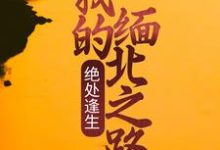 《绝处逢生：我的缅北之路》小说章节在线试读，《绝处逢生：我的缅北之路》最新章节目录-牛皮文学