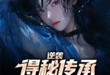 完结版《逆袭：得秘传承反杀心机女》在线免费阅读-牛皮文学