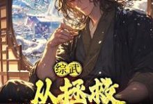 《综武：从拯救殷素素开始》小说大结局免费试读 苏玄小说-牛皮文学