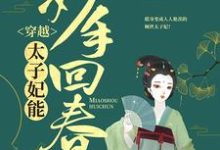 小说《穿越：太子妃能妙手回春》章节免费阅读-牛皮文学