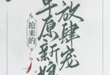 乔灵儿赤烈尧小说叫什么（抢来的草原新娘放肆宠免费阅读）-牛皮文学