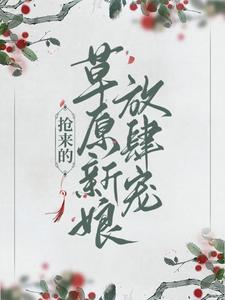 乔灵儿赤烈尧小说叫什么（抢来的草原新娘放肆宠免费阅读）