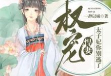 完结版《权宠悍妻：太子妃你别逃了》章节阅读-牛皮文学