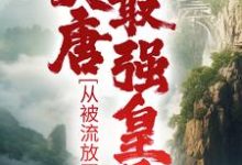 主角李祐小说完结版在线阅读，大唐最强皇子：从被流放开始免费看-牛皮文学