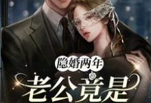 完结版《隐婚两年，老公竟是千亿大佬》章节目录在线阅读-牛皮文学