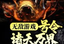 无敌游戏：号令诸天万界当魔君免费阅读，无敌游戏：号令诸天万界当魔君章节在线阅读-牛皮文学