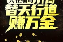 完结版《人在缅甸，开局替天行道赚万金》在线免费阅读-牛皮文学