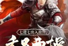 已完结小说《三国：千里外取敌首级，此乃大将！》章节在线阅读-牛皮文学