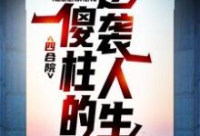 四合院：傻柱的逆袭人生免费阅读，四合院：傻柱的逆袭人生何雨柱娄小娥-牛皮文学