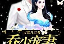 《乔少宠妻甜蜜蜜》小说主角唐苏晴乔夜韩章节章节免费在线阅读-牛皮文学