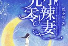 完结版《重生九零小辣妻》免费阅读-牛皮文学