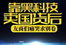 靠黑科技卖国货后，友商们痛哭求别卷小说完结了吗？在哪里可以免费读到？-牛皮文学