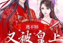 《逃不掉！又被皇上锁腰宠了》全集免费在线阅读（萧玥萧珩）-牛皮文学