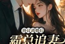 完结版《协议离婚后，霸总追妻火葬场》在线免费阅读-牛皮文学