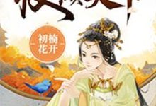 完结版《丑妃权倾天下》章节阅读-牛皮文学