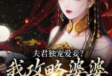 完结版《夫君独宠爱妾？我攻略婆婆来撑腰》免费阅读-牛皮文学