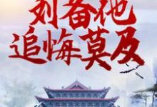 三国：转投曹操后，刘备他追悔莫及小说，三国：转投曹操后，刘备他追悔莫及在线阅读-牛皮文学