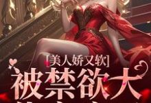 完结版《美人娇又软，被禁欲大佬宠疯了》免费阅读-牛皮文学