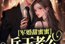 在线寻找军婚甜蜜蜜，兵王老公会宠妻小说的无删减版本-牛皮文学