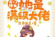 《农门辣女：肥婆弃妇她是满级大佬》小说章节列表免费试读，元浅慕容擎深小说在线阅读-牛皮文学