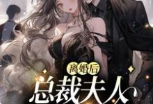 完结版《离婚后，总裁夫人惊艳全球》章节阅读-牛皮文学