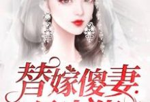 完结版《替嫁傻妻是大佬》章节阅读-牛皮文学