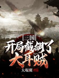 三国：开局截胡了大耳贼 刘磐貂蝉，三国：开局截胡了大耳贼小说免费阅读