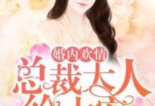 完结版《婚内欢情：总裁大人给力宠》章节目录在线阅读-牛皮文学