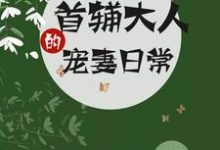 《首辅大人的宠妻日常》全集免费在线阅读（南苏钟离渊）-牛皮文学