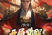 《快穿：开局觉醒无上帝王系统》全集免费在线阅读（秦渊）-牛皮文学