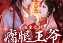 完结版《命定良缘：瘸腿王爷实力宠》章节目录在线阅读-牛皮文学