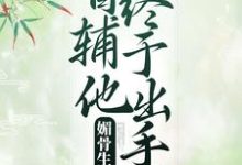 媚骨生香：首辅他终于出手了 凌绾绾赵怀羿在线章节免费阅读-牛皮文学