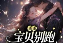 完结版《乖乖宝贝别跑，你逃不掉的》章节目录在线阅读-牛皮文学